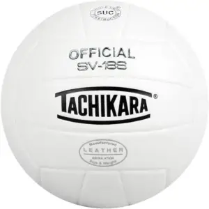 volleyball position volleyball position